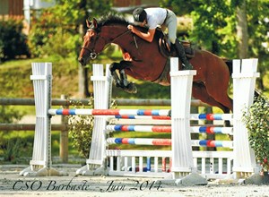 Ladhuie équitation