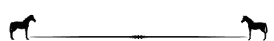 separateur-cheval.gif